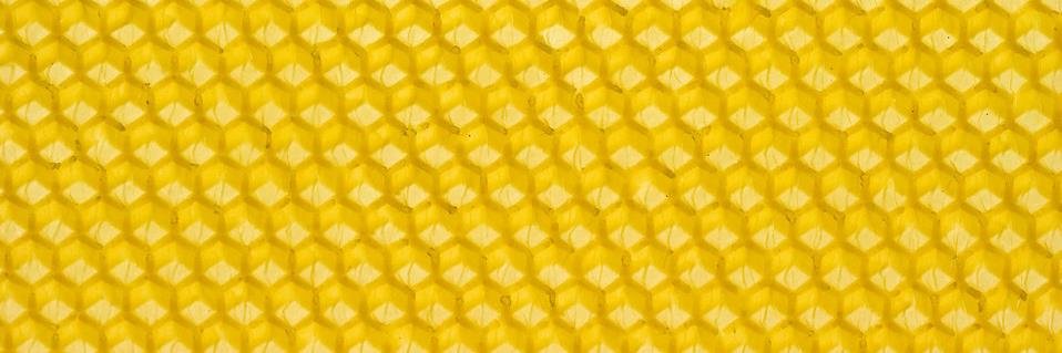 Norfolk Buzz banner