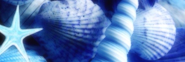 hiak03091's profile banner image