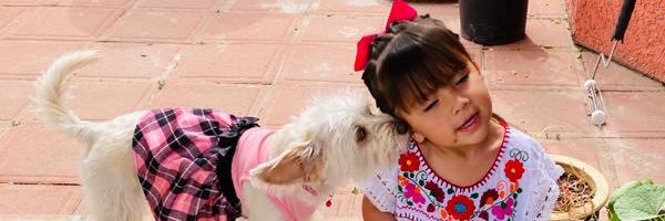 livelikesandy19's profile banner image