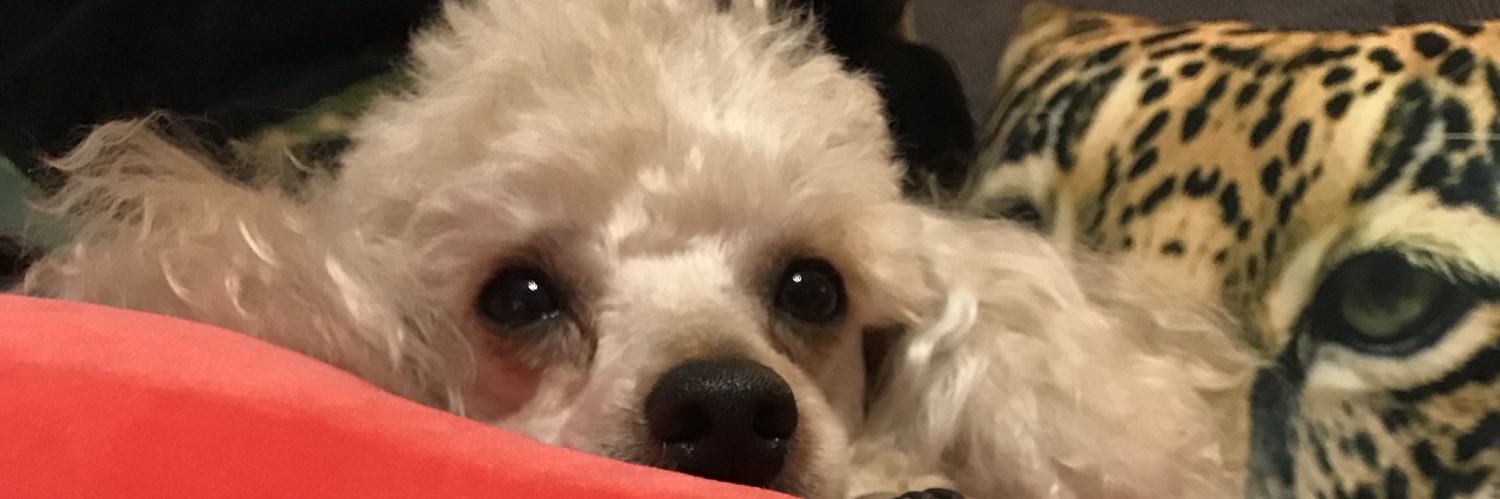 OBBBBBBY's profile banner image