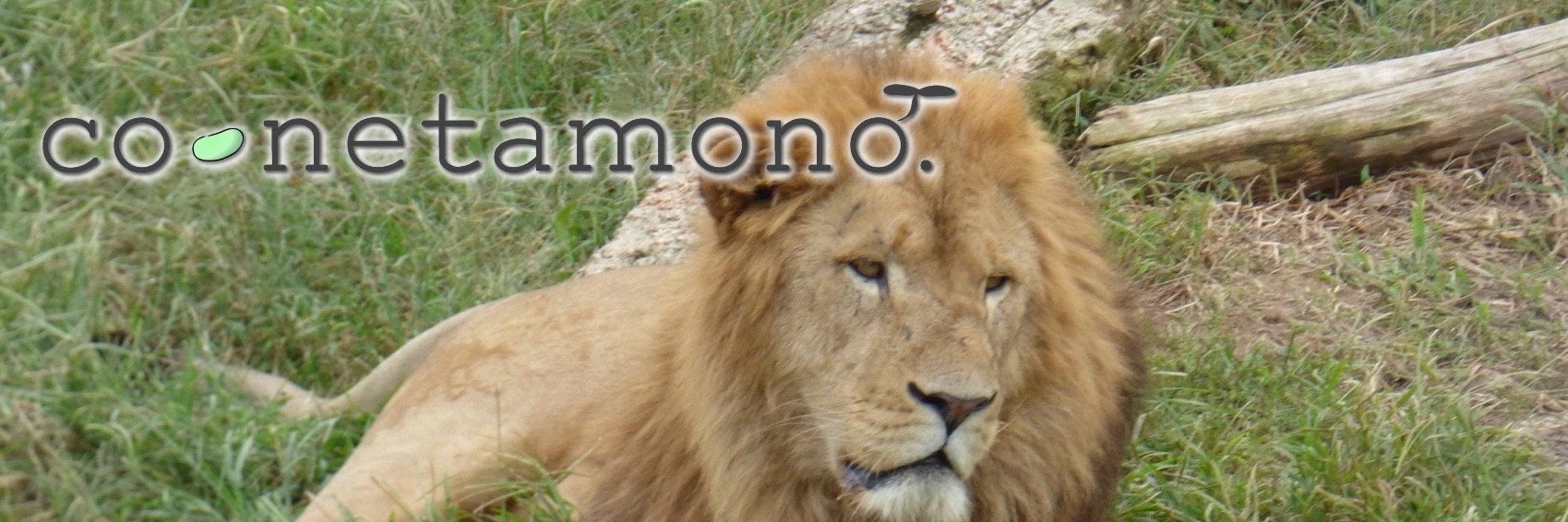 conetamono's profile banner image