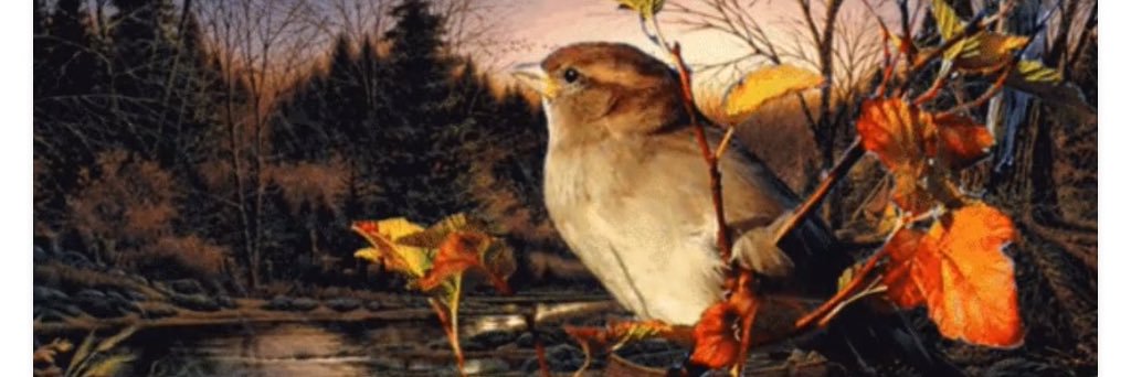 marilynobregon4's profile banner image