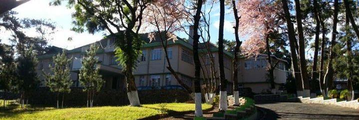 IIM Shillong PGPEx banner