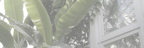 lukehun's profile banner image