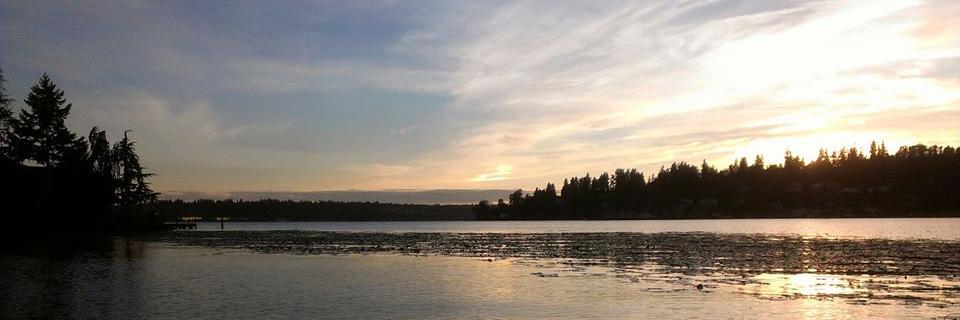 RebeccaProws17's profile banner image