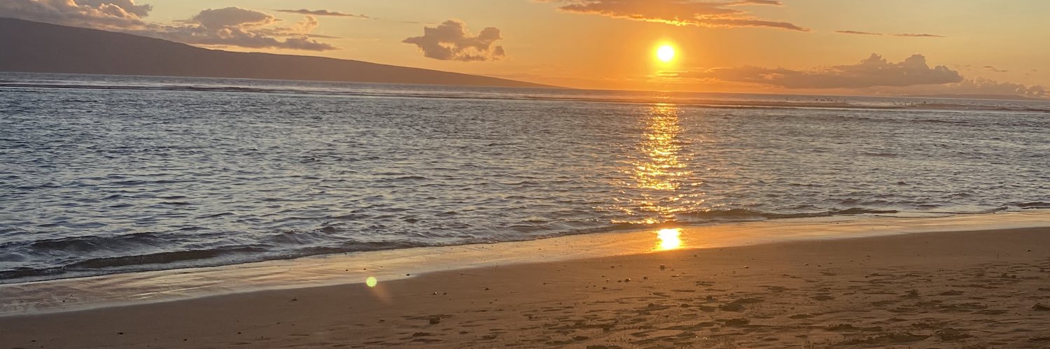 shawnanewquist's profile banner image