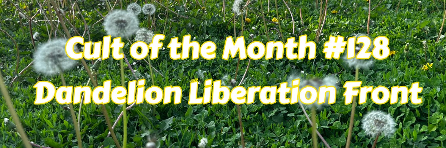 CultoftheMonth's profile banner image
