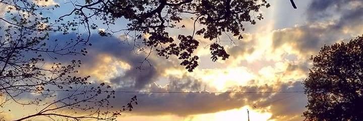 tanishasinghsaj's profile banner image
