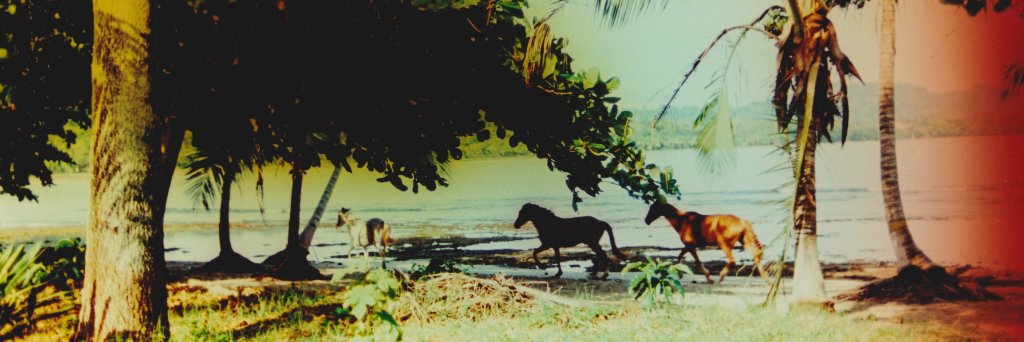 SeanLotman's profile banner image