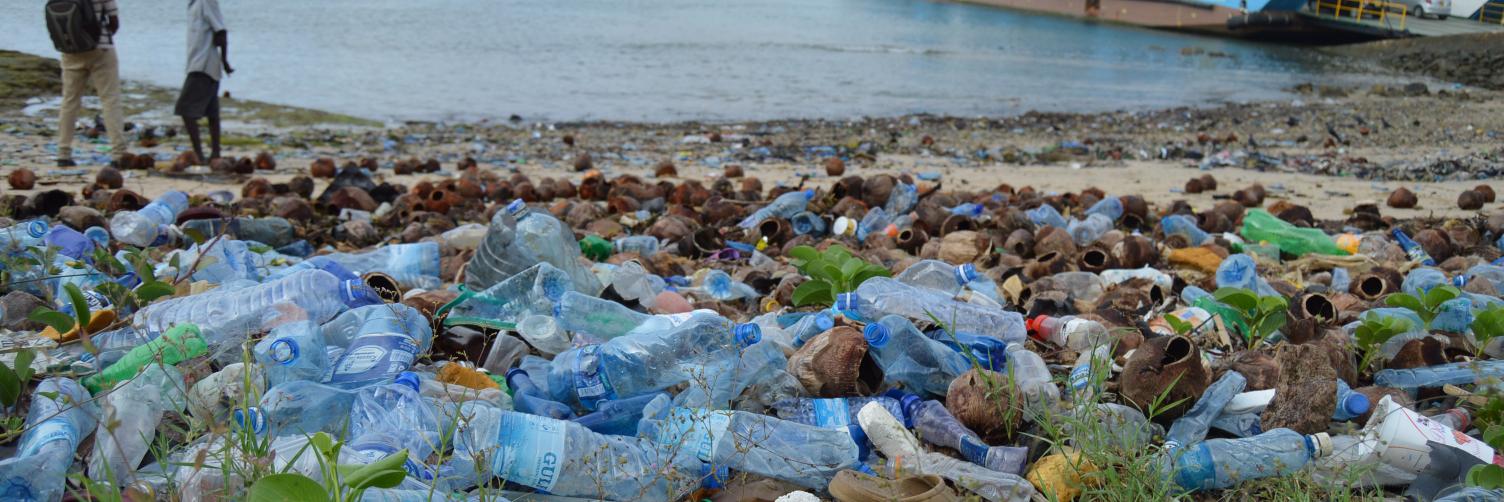 BanPlasticsNow's profile banner image