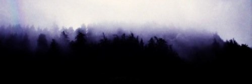 BeadyClothing's profile banner image
