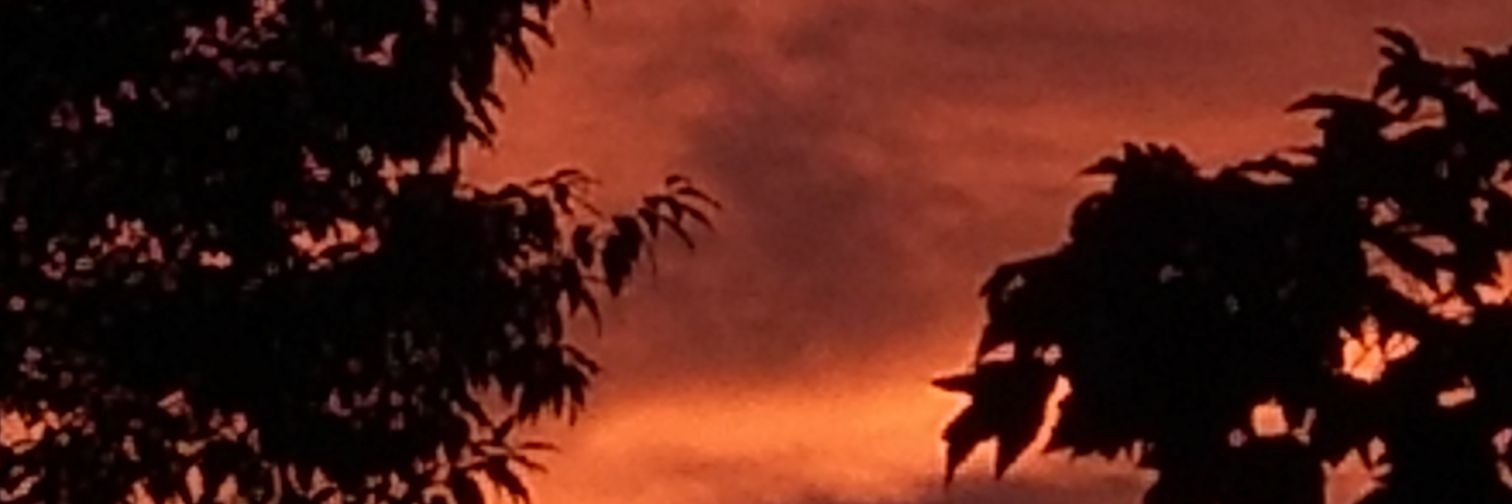 mendysuel72's profile banner image