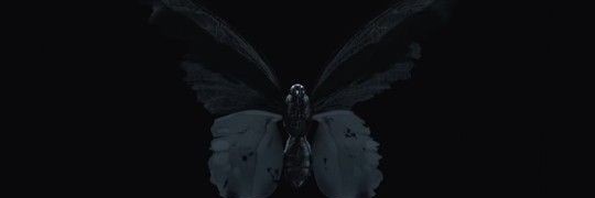 whitefrosthere's profile banner image