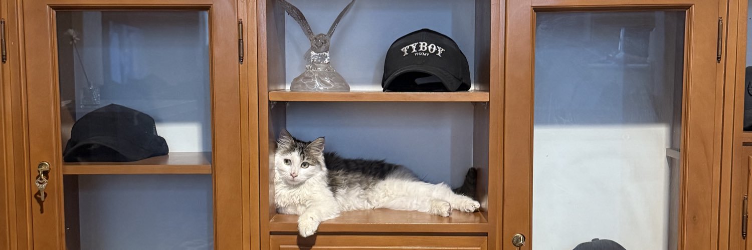 شَکِلْتون banner