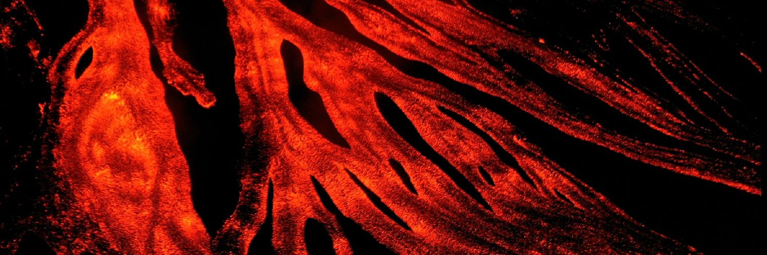 Tullio Ricci 🌋 banner