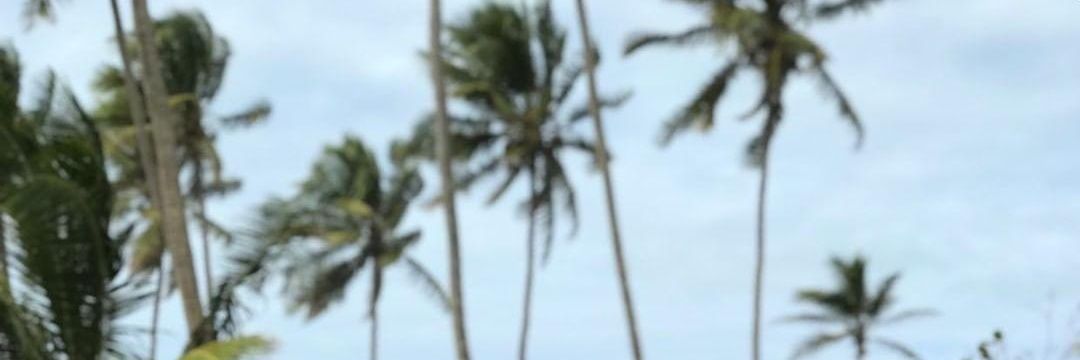 CAIWUE_'s profile banner image