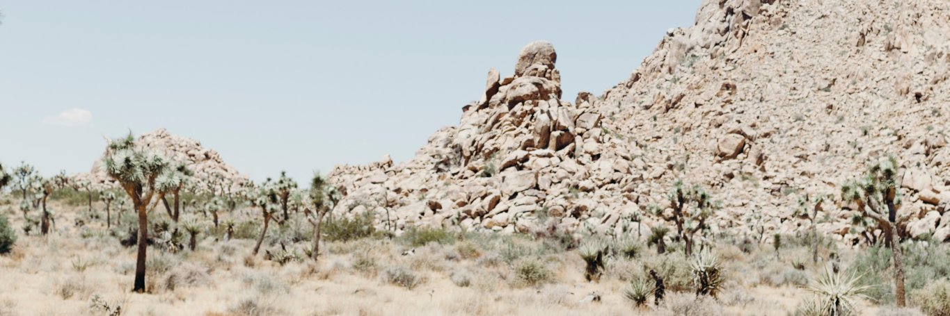 KristinaRuddick's profile banner image