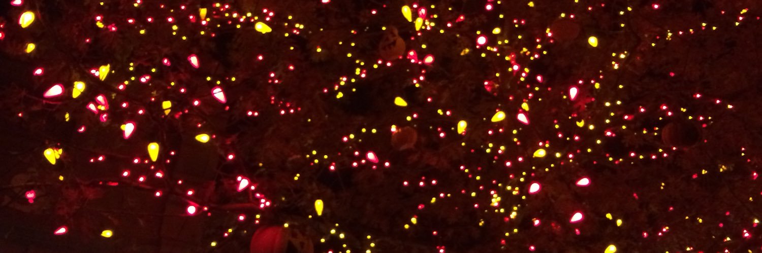 lucy_yuhh's profile banner image
