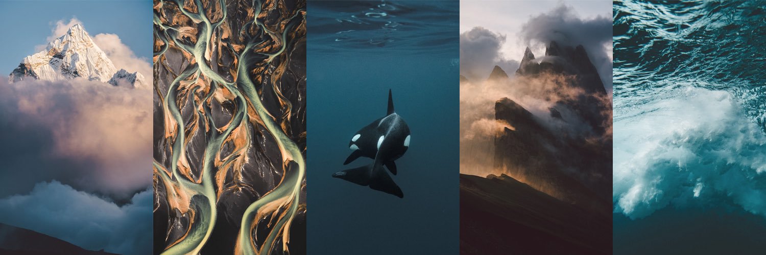 Roman Königshofer banner