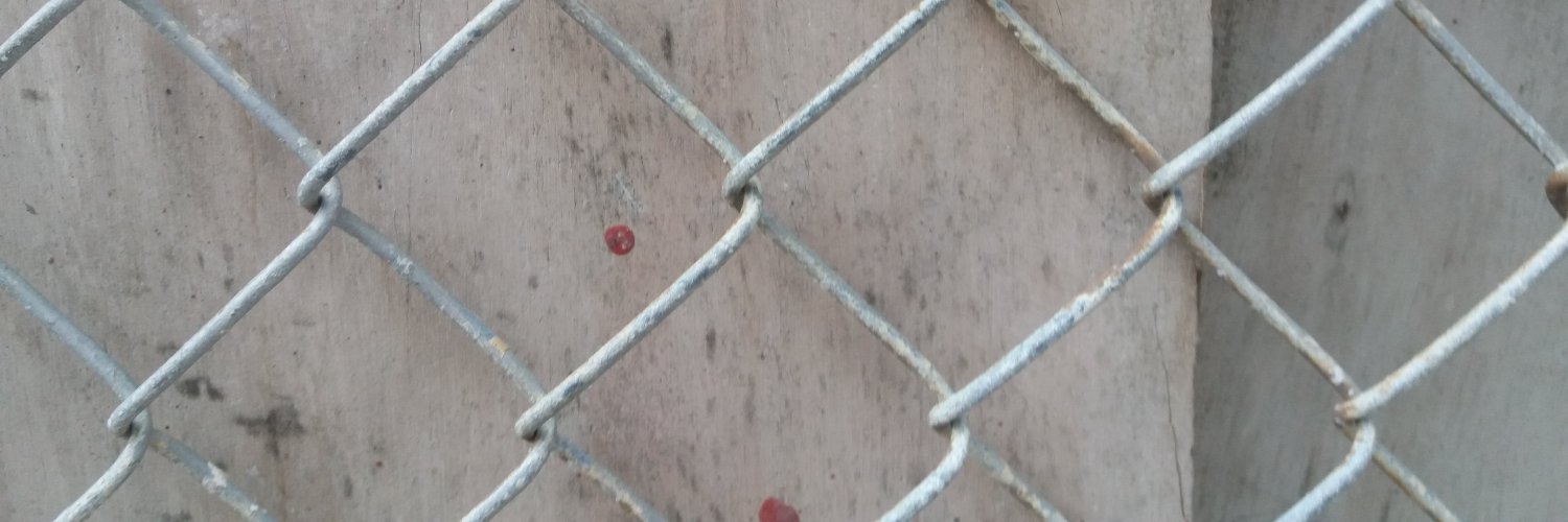 brennobp's profile banner image