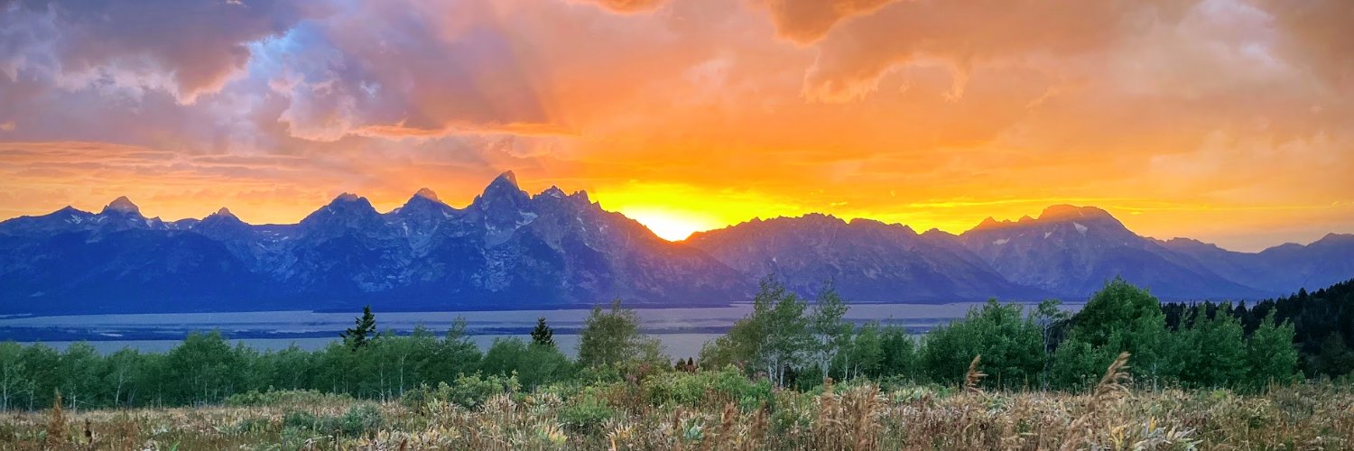 Forrest Lee Horn banner