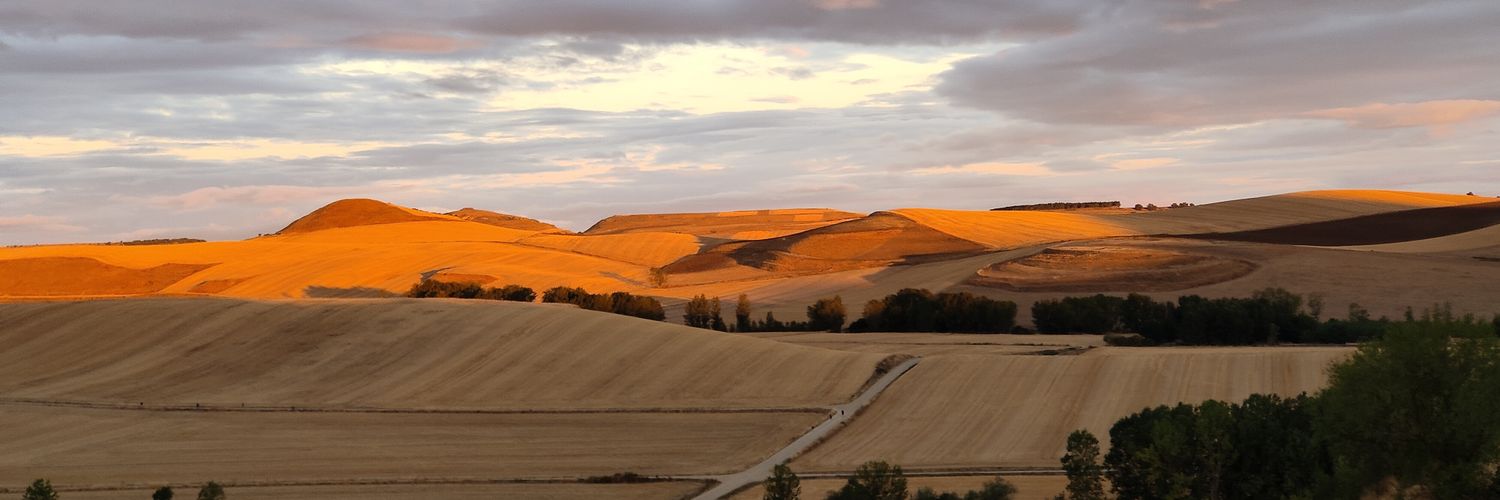 Celedonio Saez banner