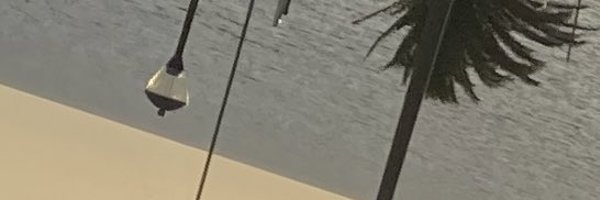 whoisonline Profile Banner