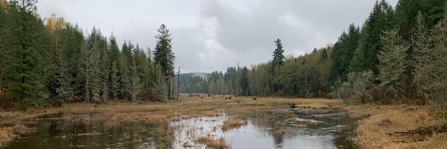 ELagergren's profile banner image
