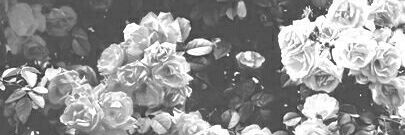 Zoe_382's profile banner image