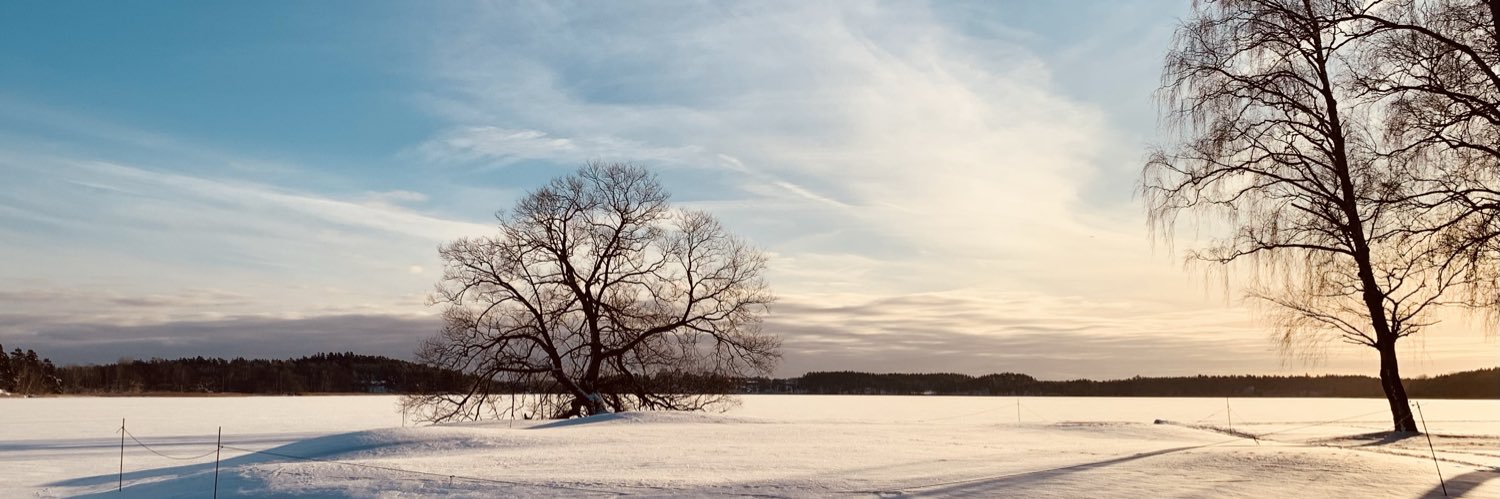 Lennart 🇸🇪🤝🇪🇺🏌️‍♂️⛷️🏃‍♂️📈 banner