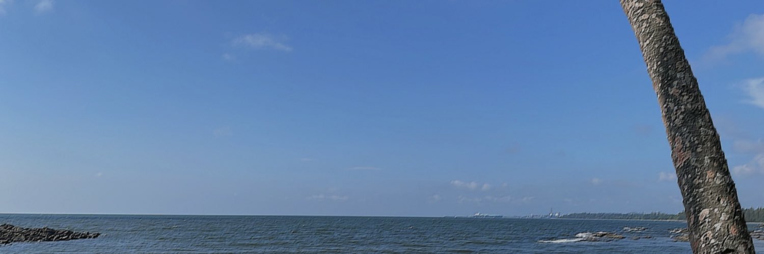 adelyler's profile banner image