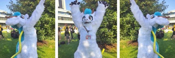 RinTheDragon Profile Banner