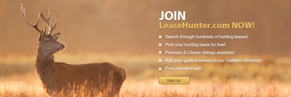 leasehunter's profile banner image