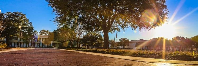 csu_wccl's profile banner image
