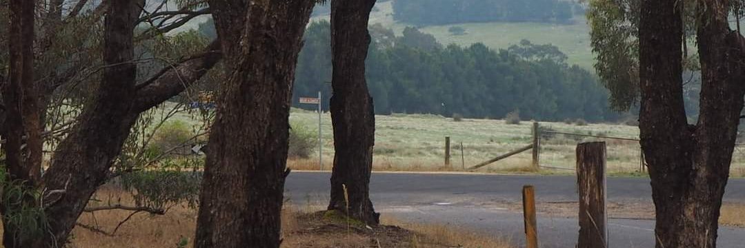 Marilyn Nuske banner