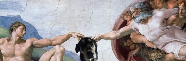 hugow_oo's profile banner image
