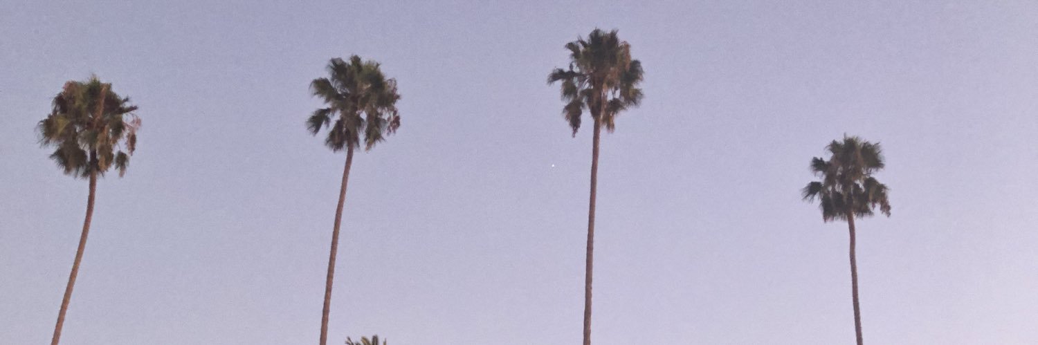 MaryBeech1's profile banner image