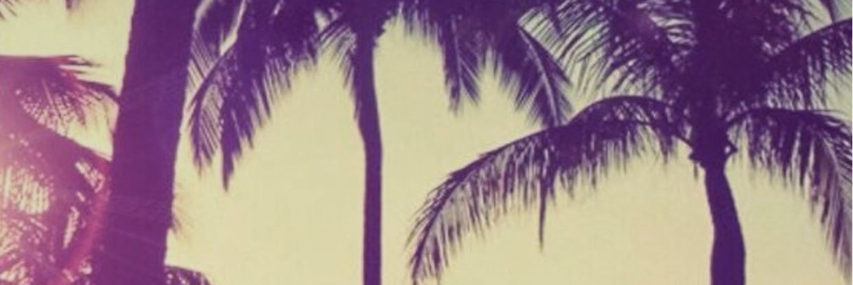 RachelVanBergen's profile banner image