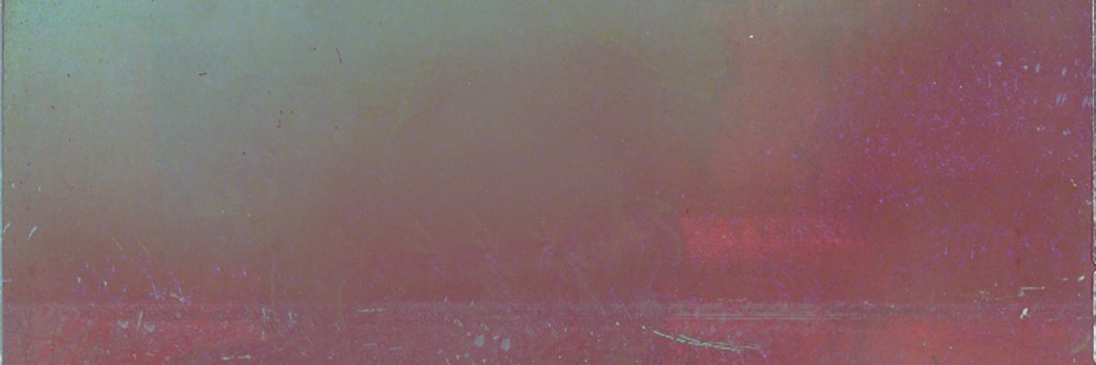 白竹桜/Plum banner