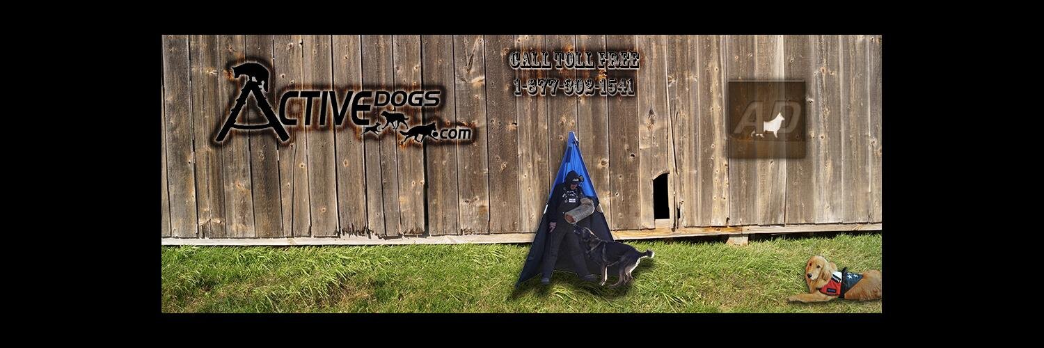 ActiveDogsCom's profile banner image