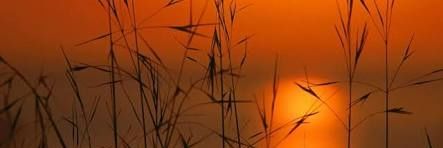 samil_murat's profile banner image