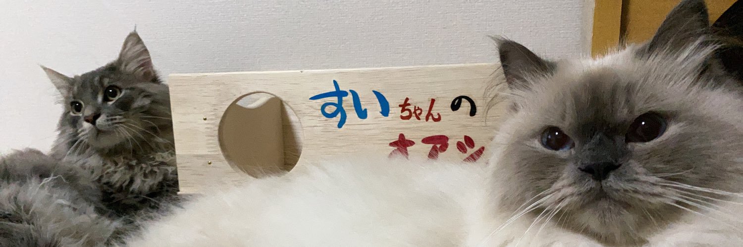 _ao__7k's profile banner image