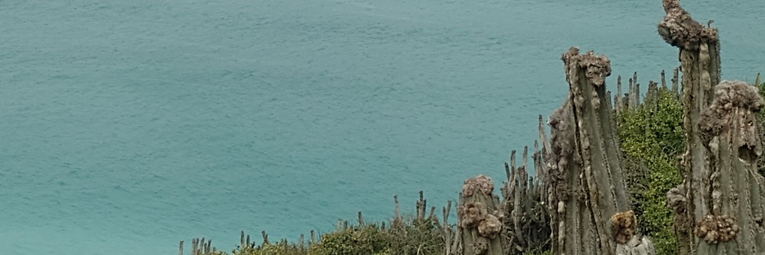 lubeltrame5's profile banner image