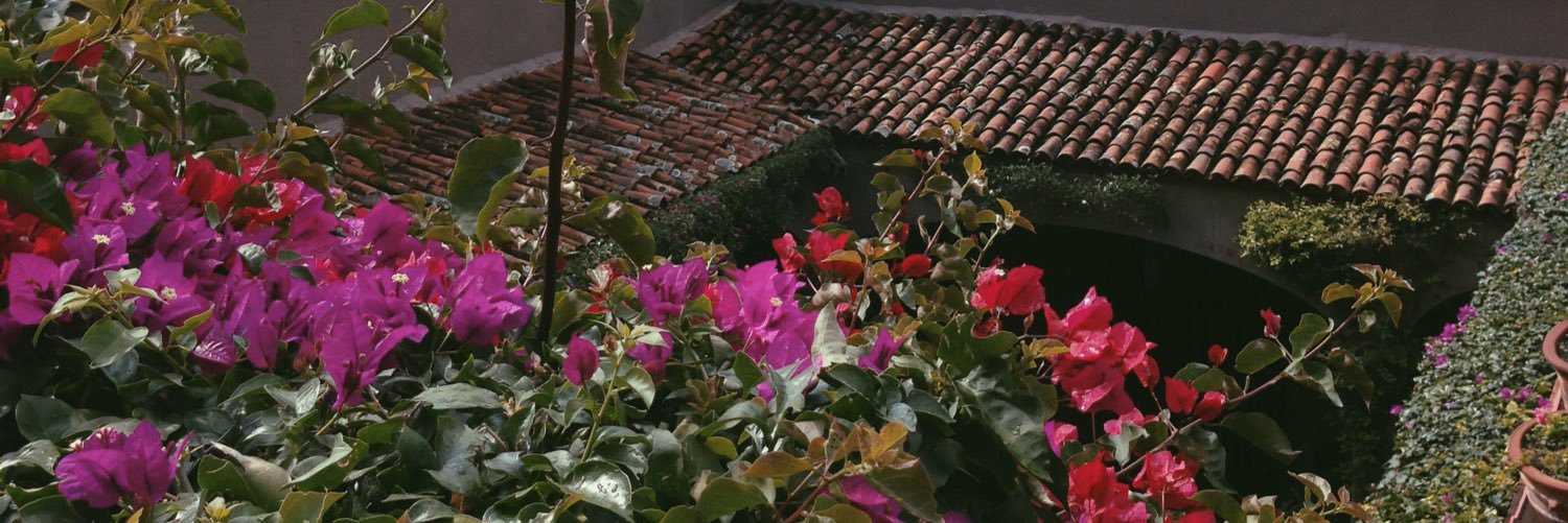 freshlygiven's profile banner image