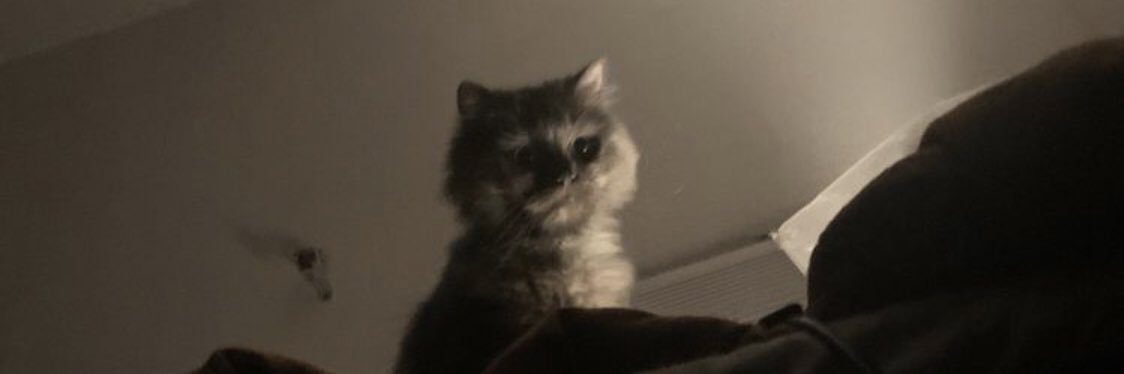 ax_al1's profile banner image