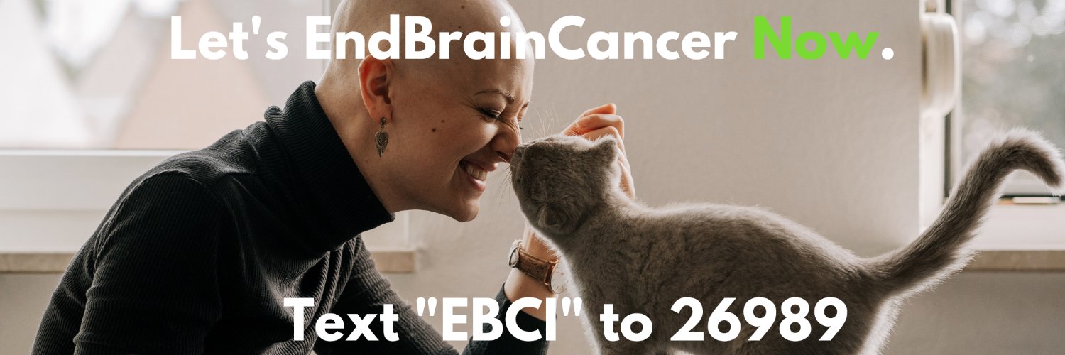 EndBrainCancer Initiative's banner