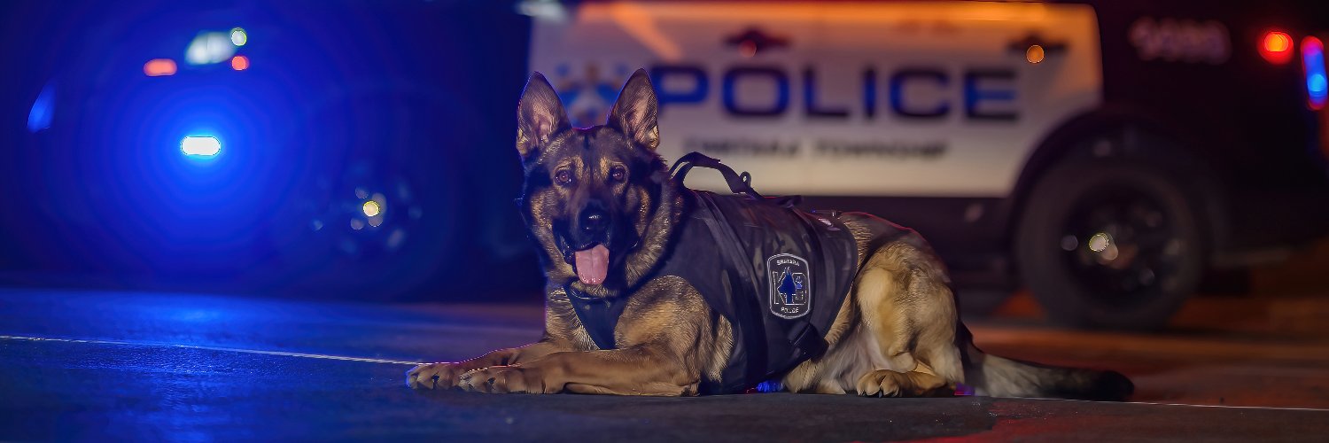 Spike's K9 Fund banner