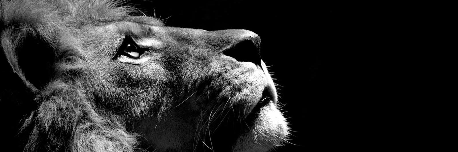 Krupa_AP's profile banner image