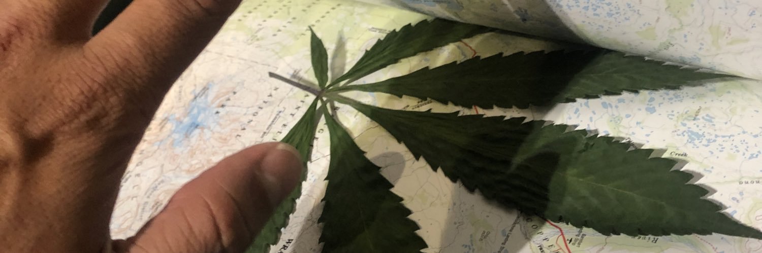 TipTheBudtender's profile banner image