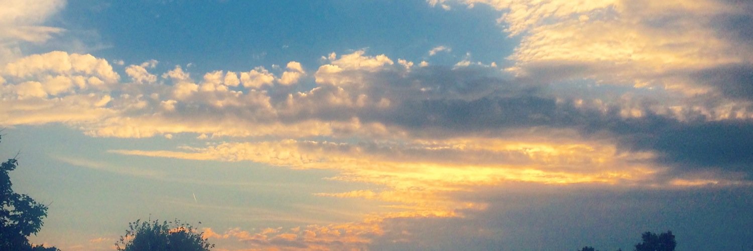 LShortman's profile banner image